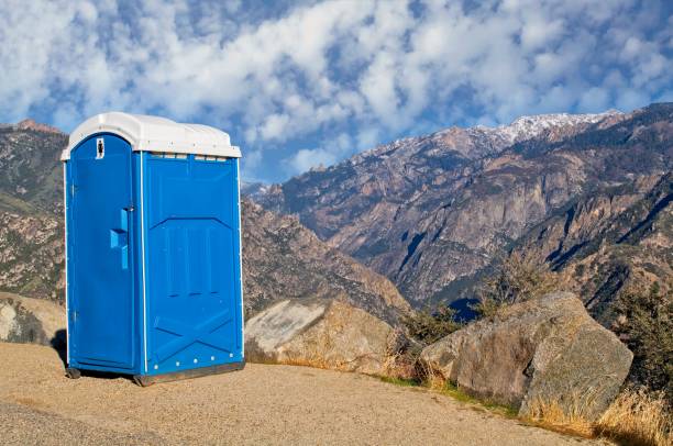 Best Sanitation services for porta potties  in Mount Morris, MI