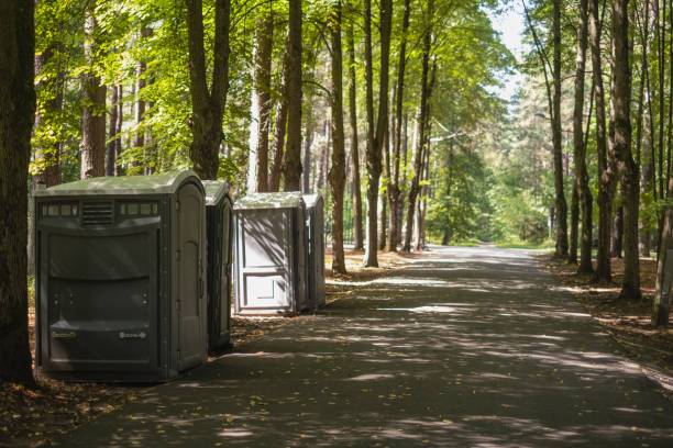 Best High-end porta potty rental  in Mount Morris, MI