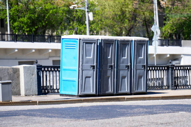 Best Portable bathroom rental  in Mount Morris, MI