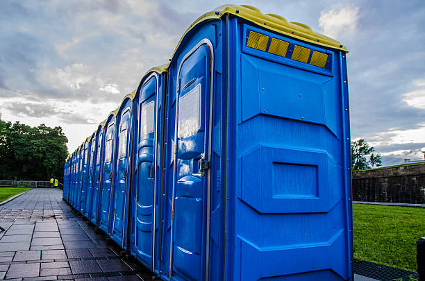 Best Affordable portable toilet rental  in Mount Morris, MI